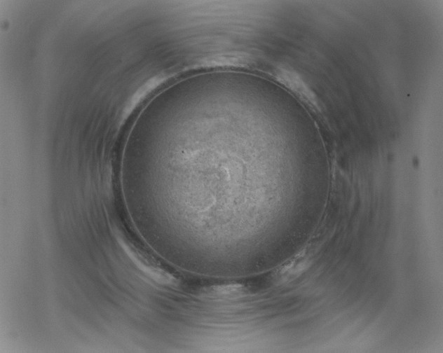 X0000068900108200605122110