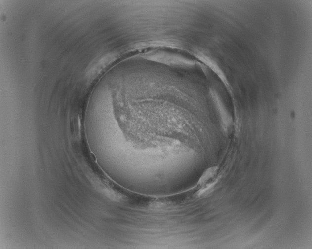 X0000068900109200605122110