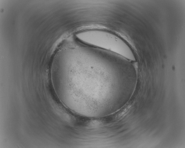 X0000068900111200605122110