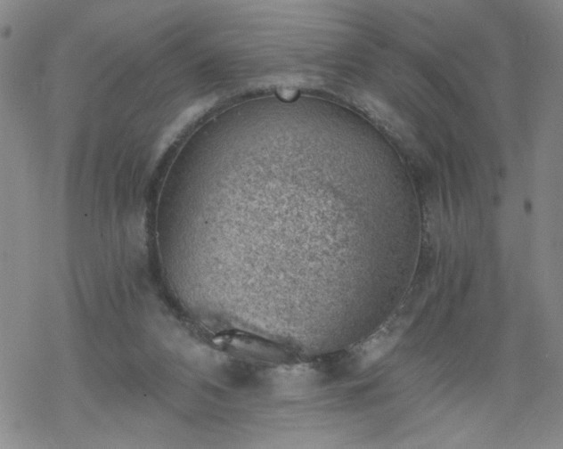 X0000068900112200605122110