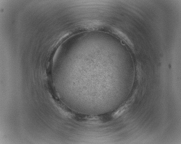 X0000068900113200605122110