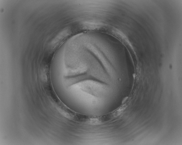 X0000068900114200605122110