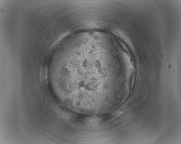 X0000068900115200605122110