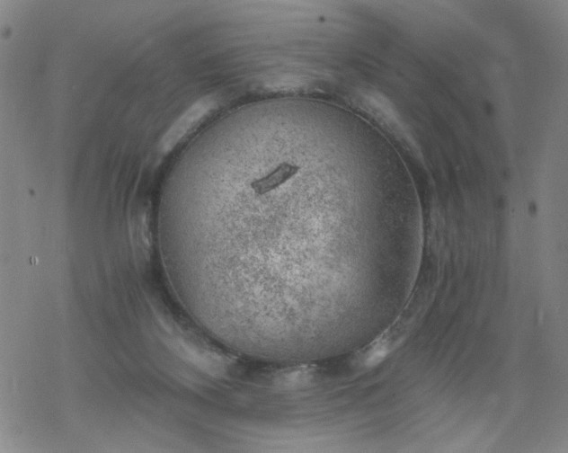 X0000068900116200605122110