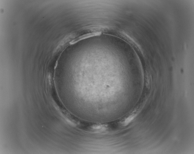 X0000068900117200605122110