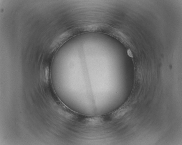 X0000068900118200605122110