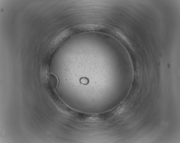 X0000068900119200605122110