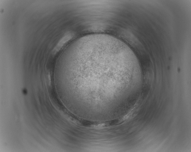 X0000068900120200605122110