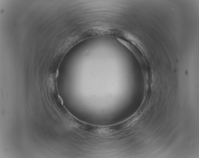 X0000068900121200605122110