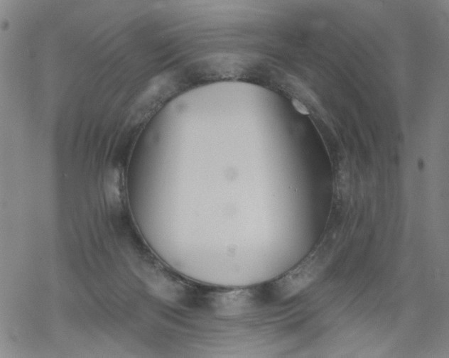 X0000068900122200605122110