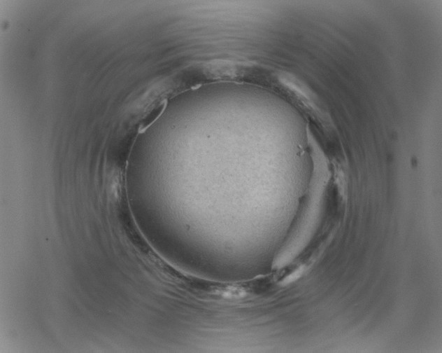 X0000068900125200605122110