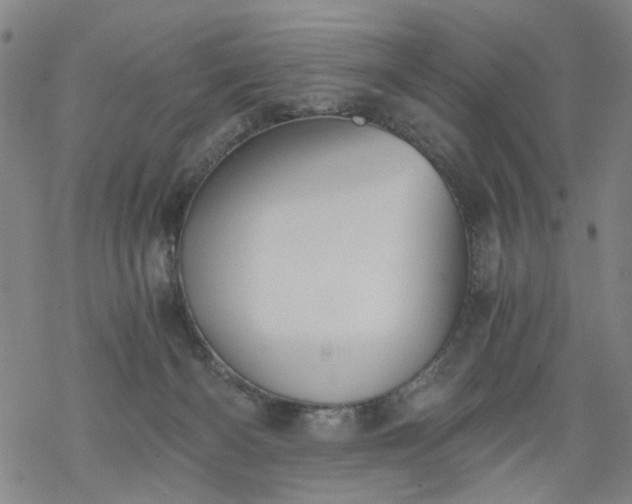 X0000068900126200605122110