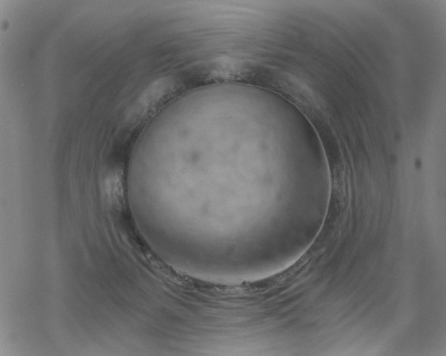 X0000068900127200605122109