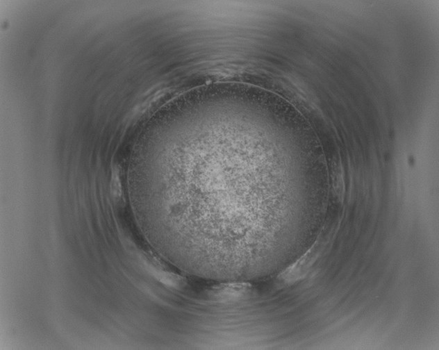 X0000068900128200605122109