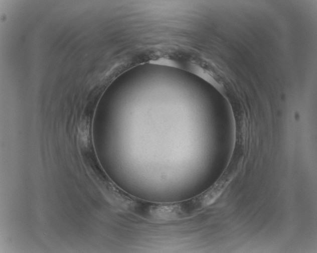 X0000068900129200605122109