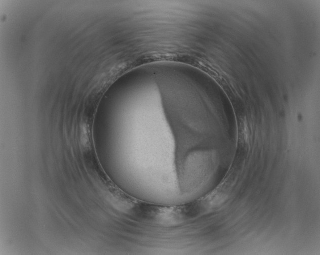 X0000068900130200605122109