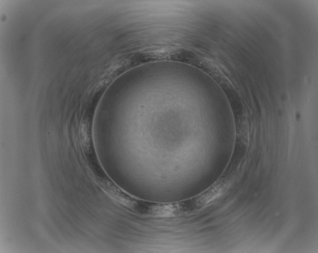 X0000068900131200605122109