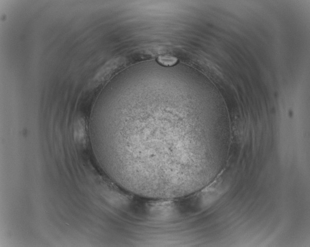 X0000068900132200605122109