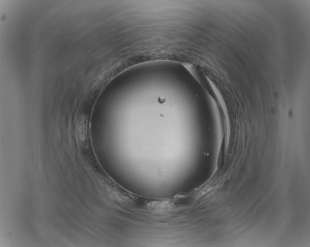 X0000068900133200605122109