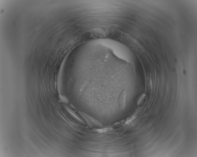 X0000068900134200605122109