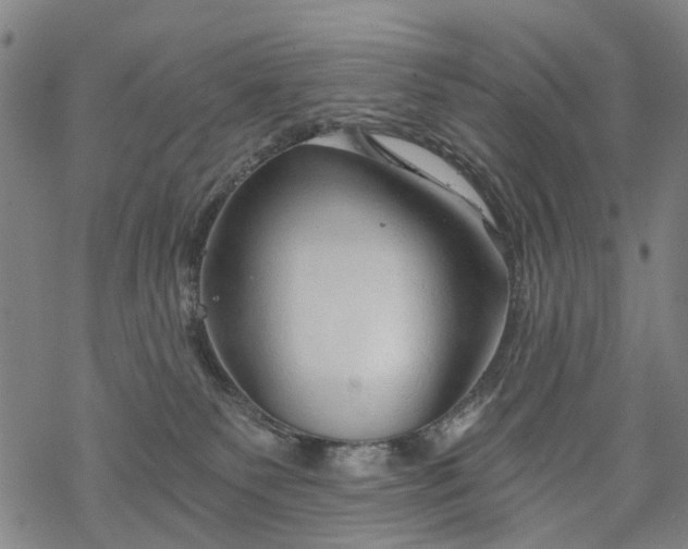 X0000068900135200605122109