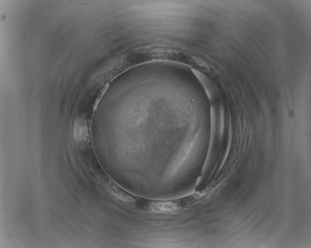 X0000068900137200605122109