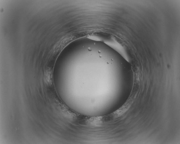 X0000068900138200605122109