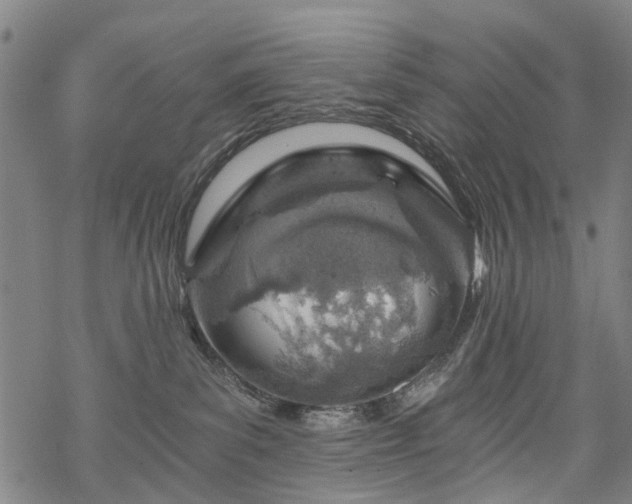 X0000068900139200605122109