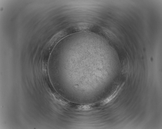 X0000068900140200605122109