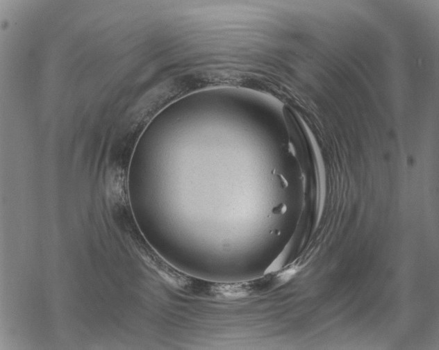 X0000068900141200605122109