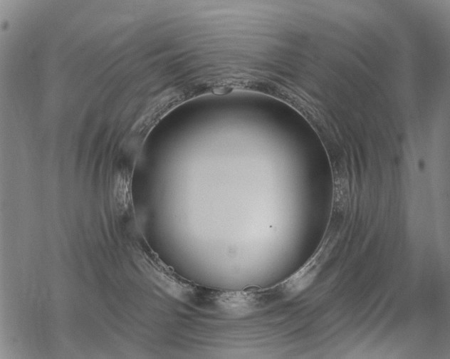 X0000068900142200605122109