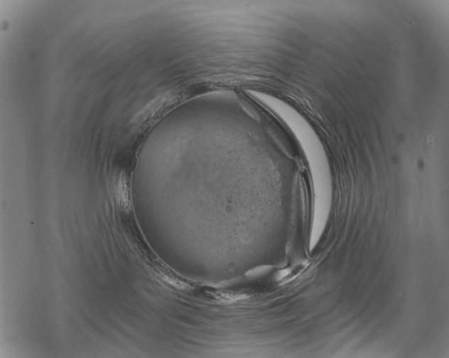 X0000068900143200605122109