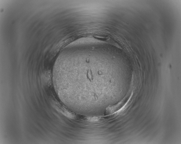 X0000068900144200605122109