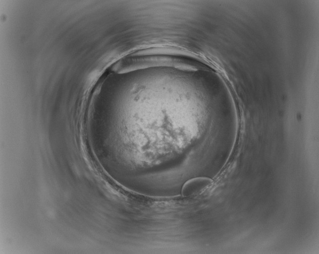 X0000068900145200605122108