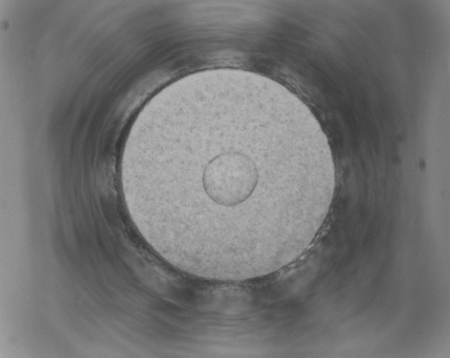 X0000068900146200605122108