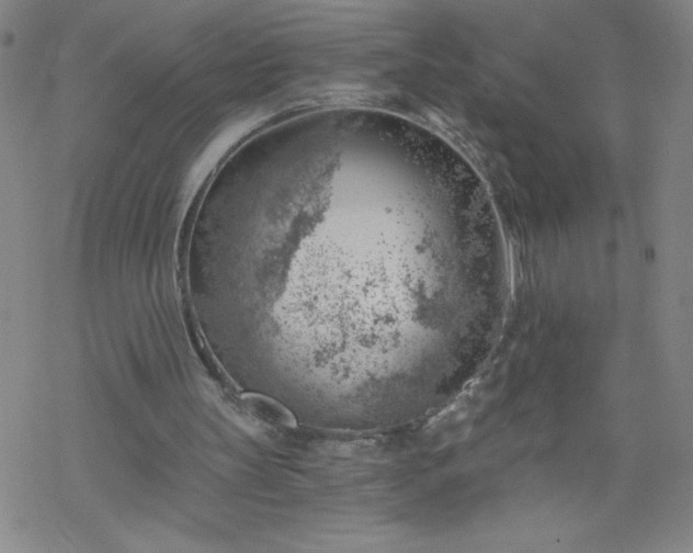 X0000068900147200605122108