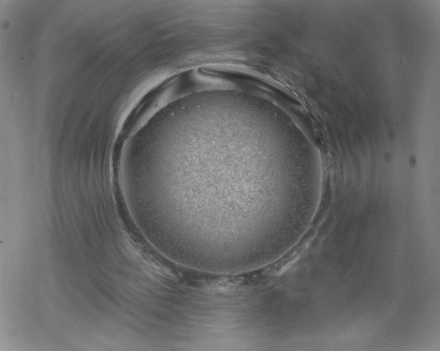 X0000068900148200605122108