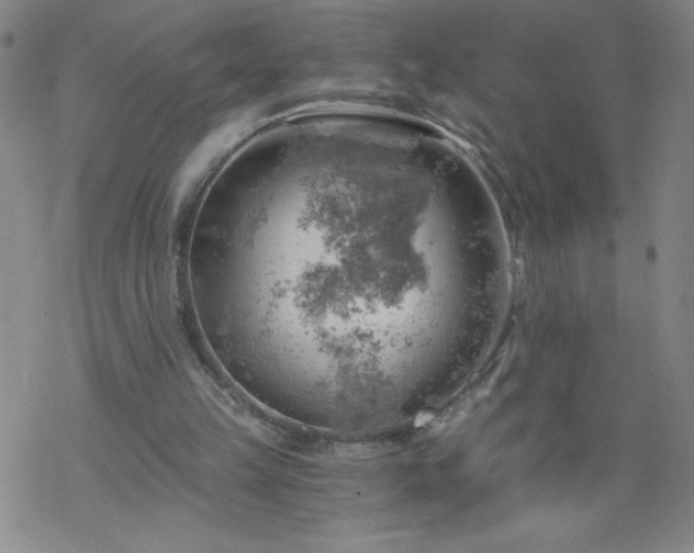 X0000068900149200605122108