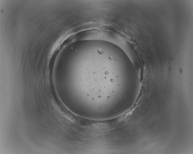 X0000068900150200605122109