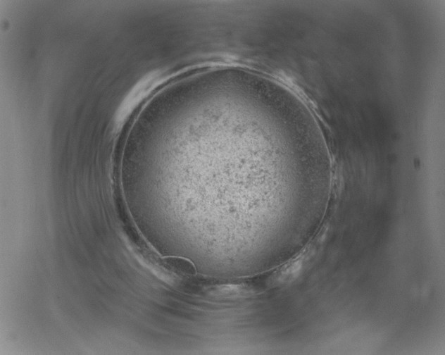 X0000068900151200605122109