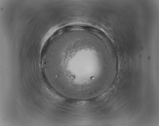 X0000068900152200605122109