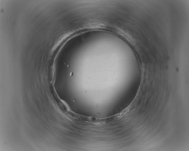 X0000068900155200605122109