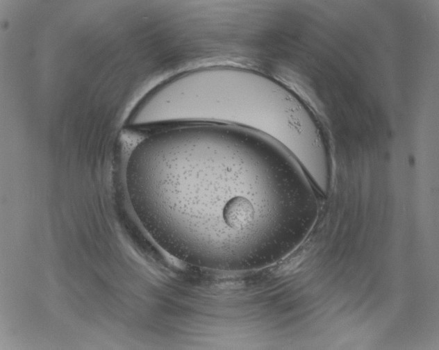 X0000068900156200605122109