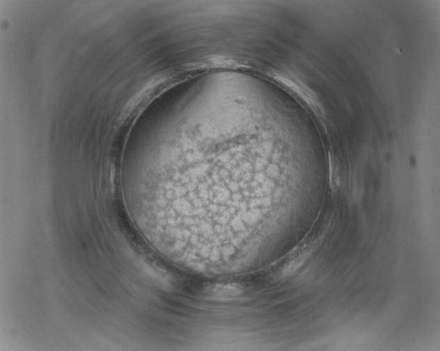 X0000068900157200605122109