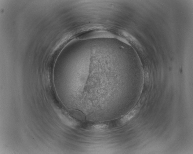 X0000068900158200605122109