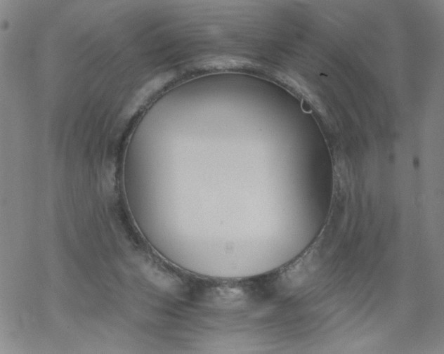 X0000068900159200605122109