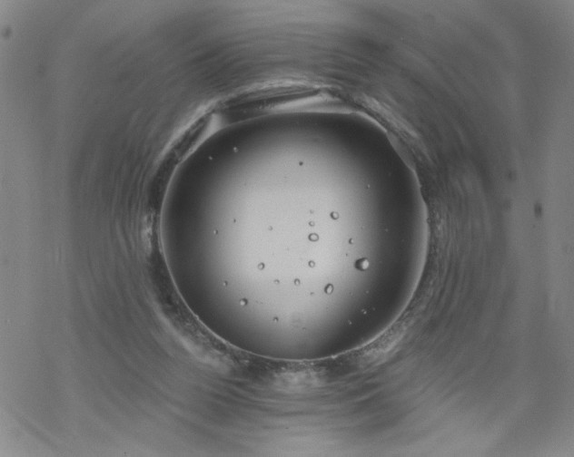 X0000068900160200605122109