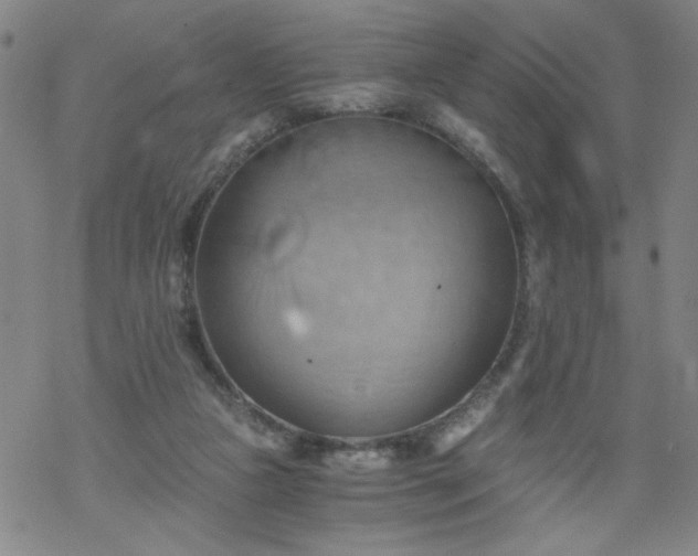 X0000068900161200605122109