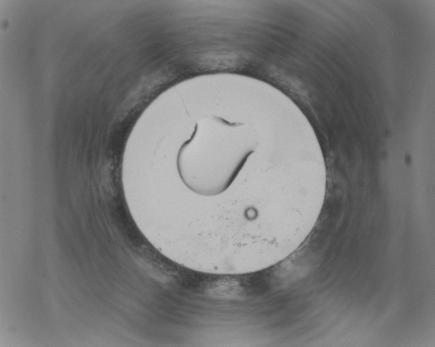 X0000068900162200605122109