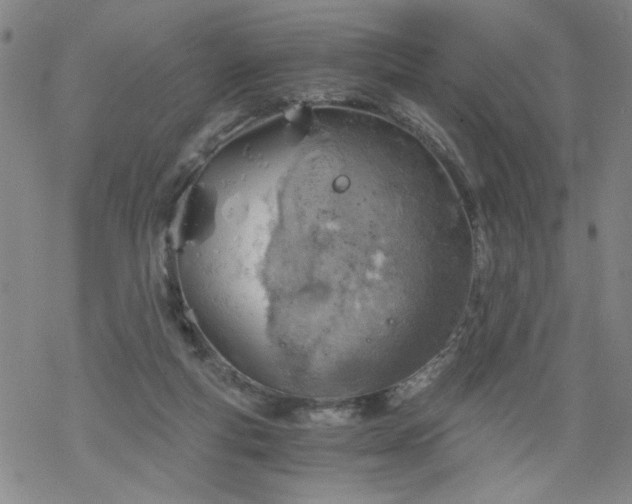 X0000068900163200605122109